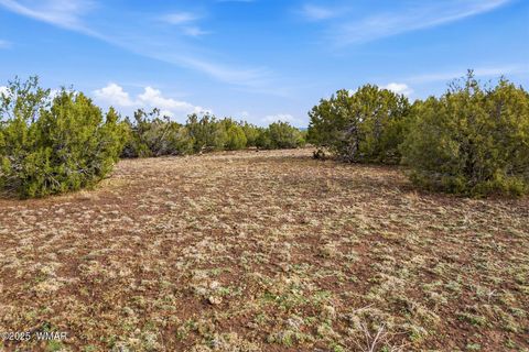 Tiny photo for TBD Silver Lake Blvd 16.32 Acres, Show Low, AZ 85901 (MLS # 258762)