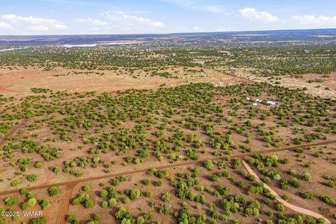 Tiny photo for TBD Silver Lake Blvd 16.32 Acres, Show Low, AZ 85901 (MLS # 258762)