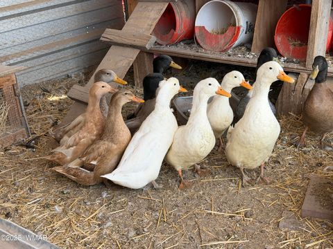 Tiny photo for 105 County Road, Concho, AZ 85924 (MLS # 251400)