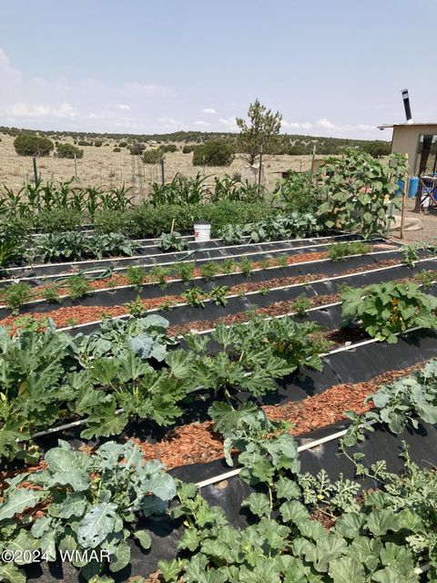 Tiny photo for 105 County Road, Concho, AZ 85924 (MLS # 251400)