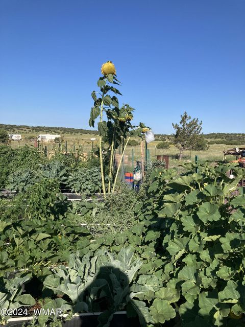 Tiny photo for 105 County Road, Concho, AZ 85924 (MLS # 251400)