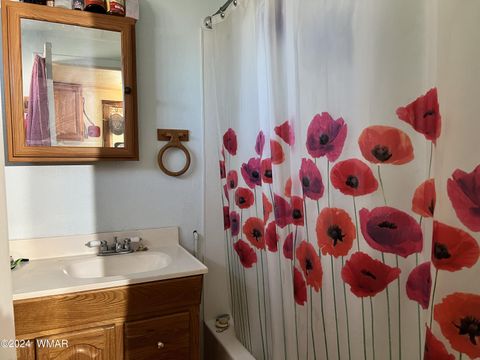 Tiny photo for 105 County Road, Concho, AZ 85924 (MLS # 251400)