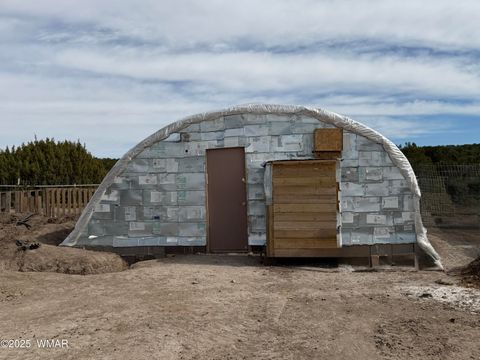 Tiny photo for 105 County Road, Concho, AZ 85924 (MLS # 251400)