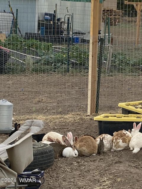 Tiny photo for 105 County Road, Concho, AZ 85924 (MLS # 251400)