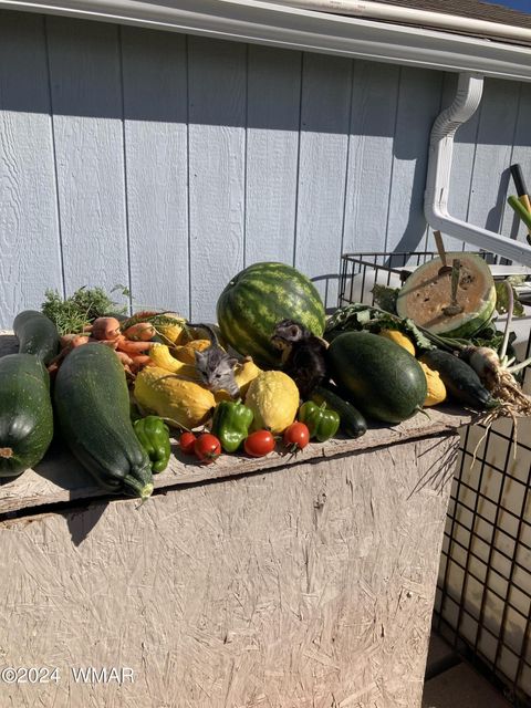 Tiny photo for 105 County Road, Concho, AZ 85924 (MLS # 251400)