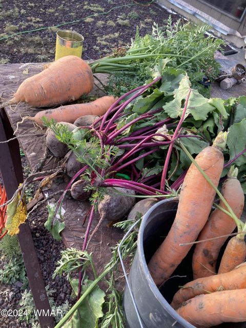 Tiny photo for 105 County Road, Concho, AZ 85924 (MLS # 251400)