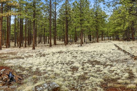 Tiny photo for 19 N1044, Eagar, AZ 85925 (MLS # 260447)