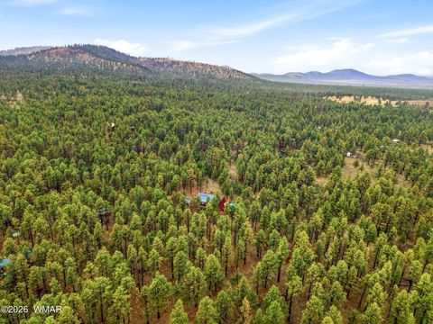 Tiny photo for 19 N1044, Eagar, AZ 85925 (MLS # 260447)