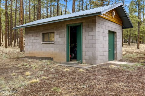 Tiny photo for 19 N1044, Eagar, AZ 85925 (MLS # 260447)