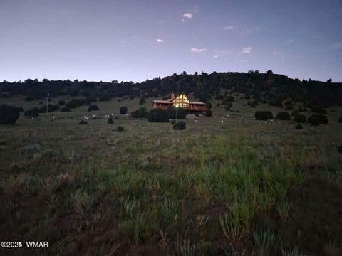 Tiny photo for 41198 US 180, Nutrioso, AZ 85932 (MLS # 259599)