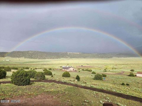 Tiny photo for 41198 US 180, Nutrioso, AZ 85932 (MLS # 259599)