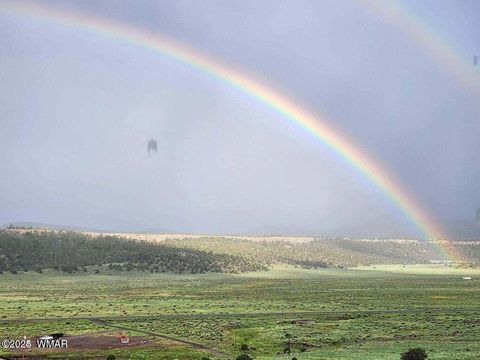 Tiny photo for 41198 US 180, Nutrioso, AZ 85932 (MLS # 259599)