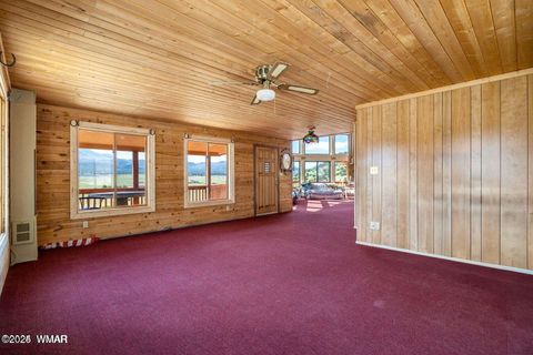 Tiny photo for 41198 US 180, Nutrioso, AZ 85932 (MLS # 259599)