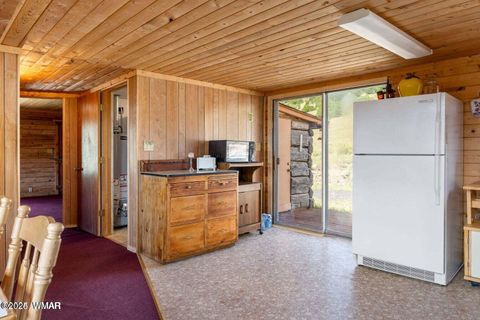 Tiny photo for 41198 US 180, Nutrioso, AZ 85932 (MLS # 259599)