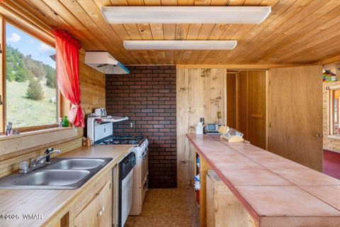 Tiny photo for 41198 US 180, Nutrioso, AZ 85932 (MLS # 259599)