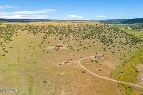 Tiny photo for 41198 US 180, Nutrioso, AZ 85932 (MLS # 259599)