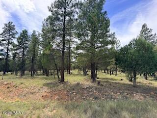 Photo of 5206 Starlight Drive, Happy Jack, AZ 86024 (MLS # 263232)