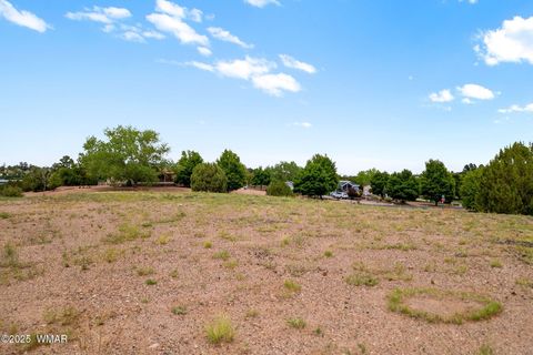 Tiny photo for 1188 Outlaw Pass Pass, Show Low, AZ 85901 (MLS # 257269)