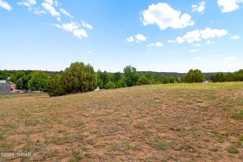 Tiny photo for 1188 Outlaw Pass Pass, Show Low, AZ 85901 (MLS # 257269)