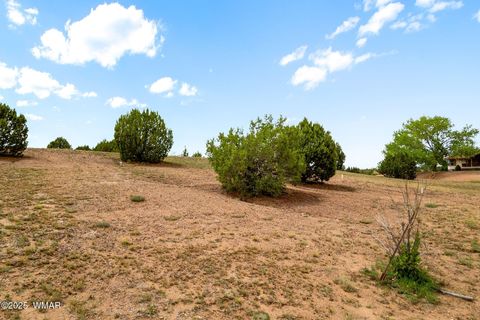 Tiny photo for 1188 Outlaw Pass Pass, Show Low, AZ 85901 (MLS # 257269)