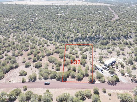 Photo of 50 County Road 3190, Vernon, AZ 85940 (MLS # 261801)