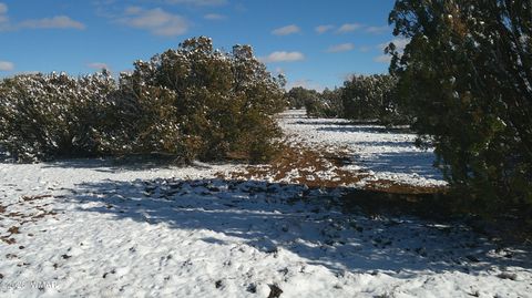 Tiny photo for 8571 Pine Lane, Snowflake, AZ 85937 (MLS # 259267)