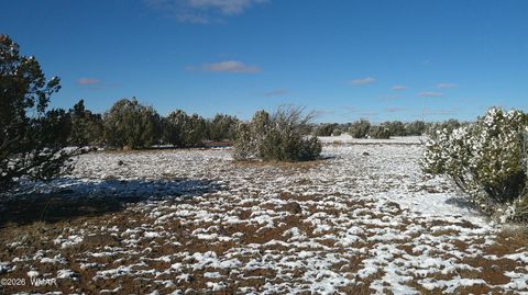 Tiny photo for 8571 Pine Lane, Snowflake, AZ 85937 (MLS # 259267)