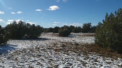 Tiny photo for 8571 Pine Lane, Snowflake, AZ 85937 (MLS # 259267)