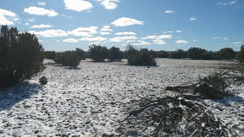 Tiny photo for 8571 Pine Lane, Snowflake, AZ 85937 (MLS # 259267)