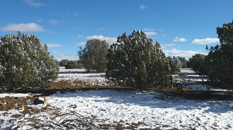 Tiny photo for 8571 Pine Lane, Snowflake, AZ 85937 (MLS # 259267)