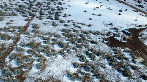 Tiny photo for 8571 Pine Lane, Snowflake, AZ 85937 (MLS # 259267)