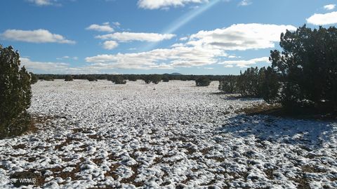 Photo of 8571 Pine Lane, Snowflake, AZ 85937 (MLS # 259267)