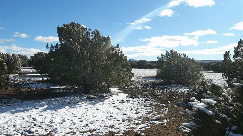 Tiny photo for 8571 Pine Lane, Snowflake, AZ 85937 (MLS # 259267)