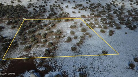 Tiny photo for 8571 Pine Lane, Snowflake, AZ 85937 (MLS # 259267)