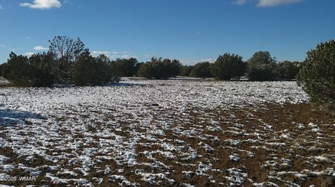 Tiny photo for 8571 Pine Lane, Snowflake, AZ 85937 (MLS # 259267)