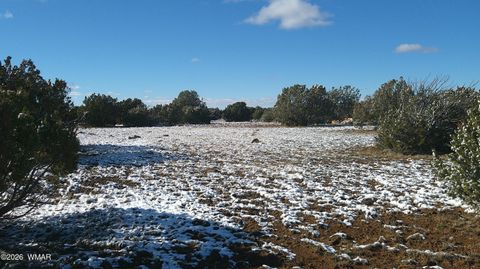 Tiny photo for 8571 Pine Lane, Snowflake, AZ 85937 (MLS # 259267)