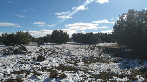 Tiny photo for 8571 Pine Lane, Snowflake, AZ 85937 (MLS # 259267)
