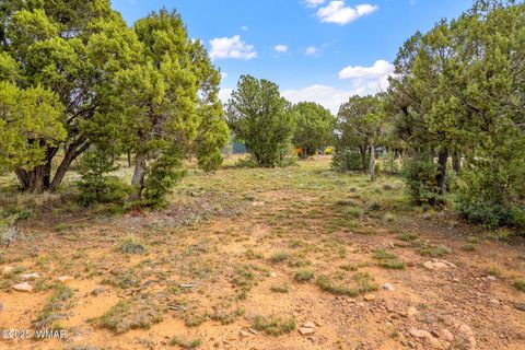Tiny photo for 1301 Fairway Lane, Show Low, AZ 85901 (MLS # 258301)