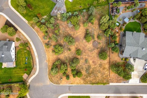 Tiny photo for 1301 Fairway Lane, Show Low, AZ 85901 (MLS # 258301)