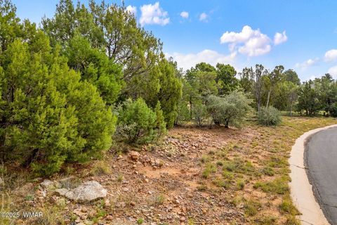 Tiny photo for 1301 Fairway Lane, Show Low, AZ 85901 (MLS # 258301)