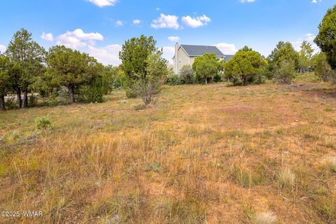 Tiny photo for 1301 Fairway Lane, Show Low, AZ 85901 (MLS # 258301)