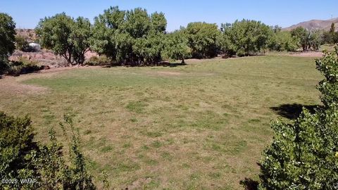 Tiny photo for 6442 W 1St Street, Woodruff, AZ 85942 (MLS # 257862)
