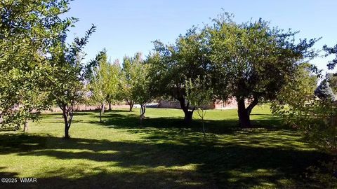 Tiny photo for 6442 W 1St Street, Woodruff, AZ 85942 (MLS # 257862)