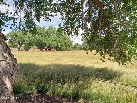 Tiny photo for 6442 W 1St Street, Woodruff, AZ 85942 (MLS # 257862)