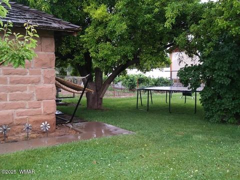 Tiny photo for 6442 W 1St Street, Woodruff, AZ 85942 (MLS # 257862)