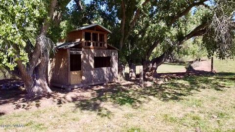 Tiny photo for 6442 W 1St Street, Woodruff, AZ 85942 (MLS # 257862)