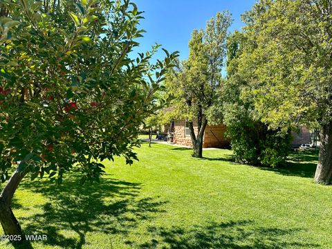 Tiny photo for 6442 W 1St Street, Woodruff, AZ 85942 (MLS # 257862)