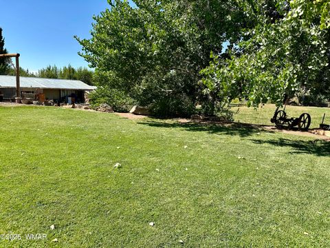 Tiny photo for 6442 W 1St Street, Woodruff, AZ 85942 (MLS # 257862)