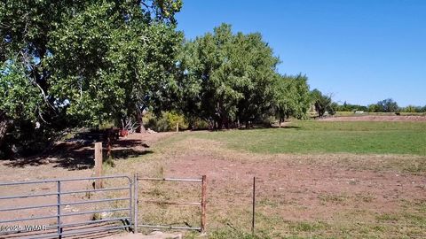 Tiny photo for 6442 W 1St Street, Woodruff, AZ 85942 (MLS # 257862)