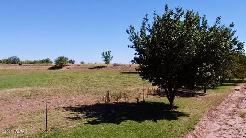 Tiny photo for 6442 W 1St Street, Woodruff, AZ 85942 (MLS # 257862)